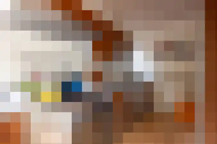 Willem Nagellaan 10 Rotterdam thumbnail 17