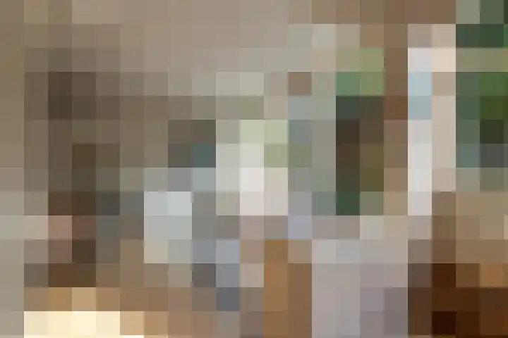 Willem Nagellaan 10 Rotterdam thumbnail 18