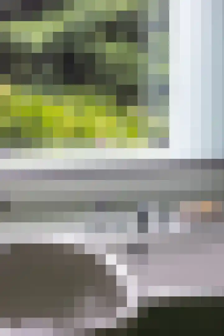Willem Nagellaan 10 Rotterdam thumbnail 35