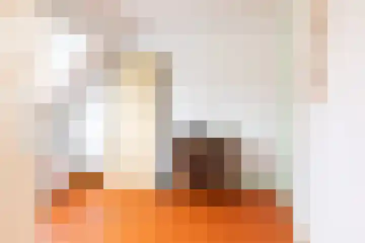 Willem Nagellaan 10 Rotterdam thumbnail 37