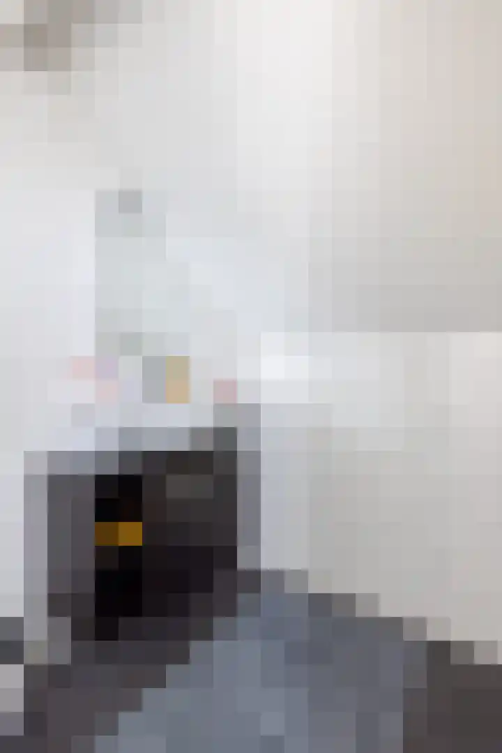 Willem Nagellaan 10 Rotterdam thumbnail 39