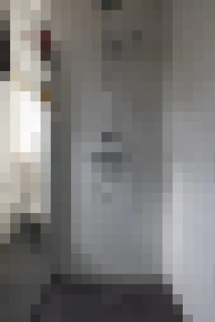 Willem Nagellaan 10 Rotterdam thumbnail 40