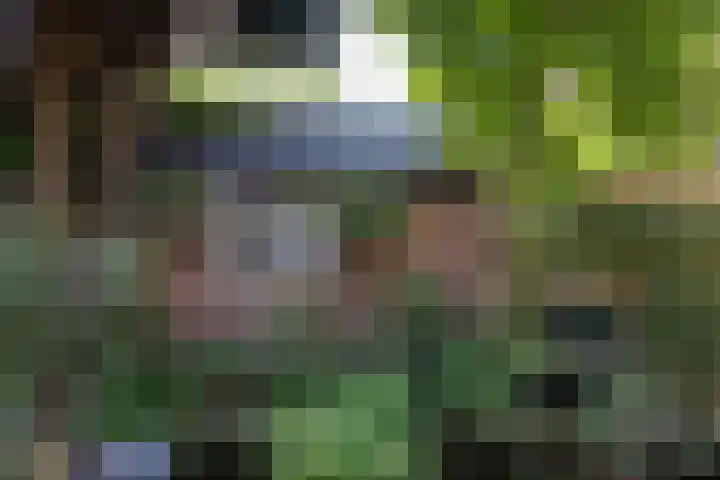 Willem Nagellaan 10 Rotterdam thumbnail 46