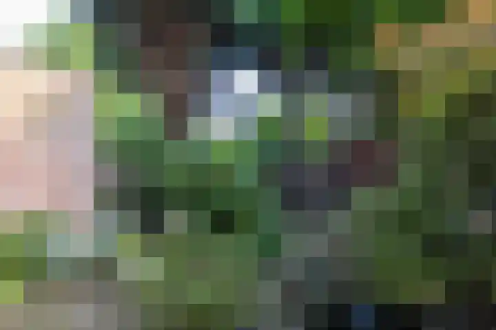 Willem Nagellaan 10 Rotterdam thumbnail 5