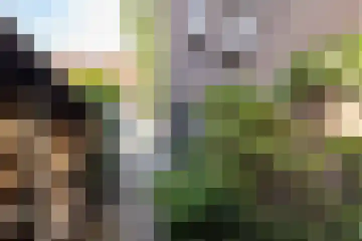 Willem Nagellaan 10 Rotterdam thumbnail 50