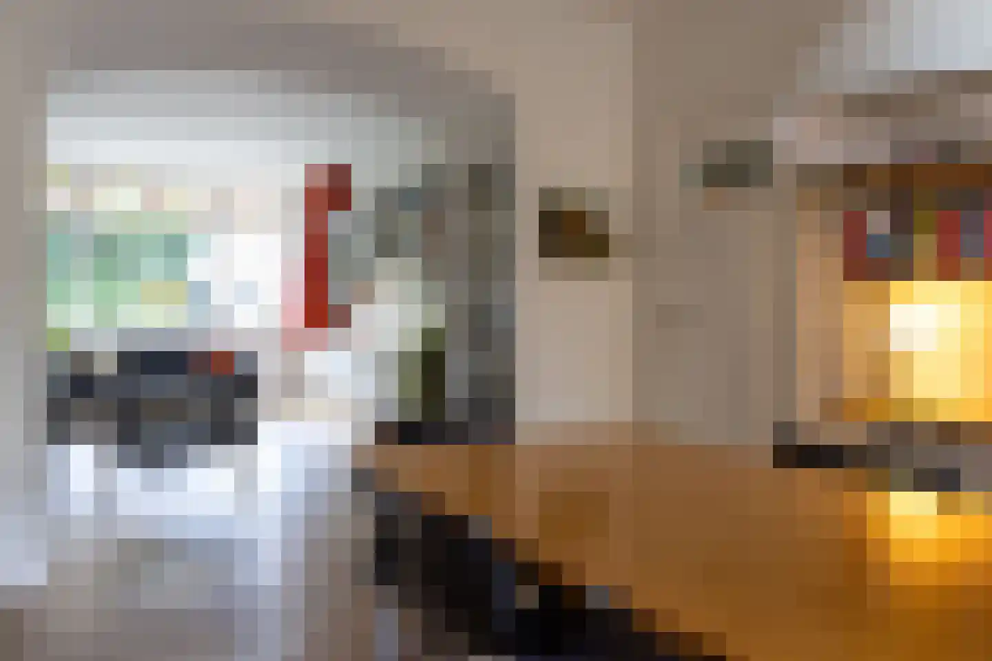 Willem Nagellaan 12 Rotterdam thumbnail 16