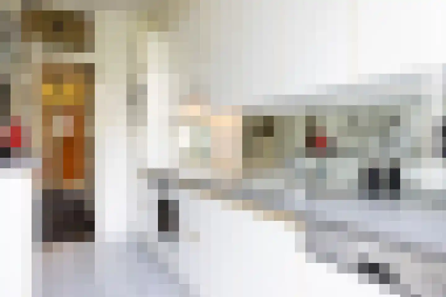 Willem Nagellaan 12 Rotterdam thumbnail 21