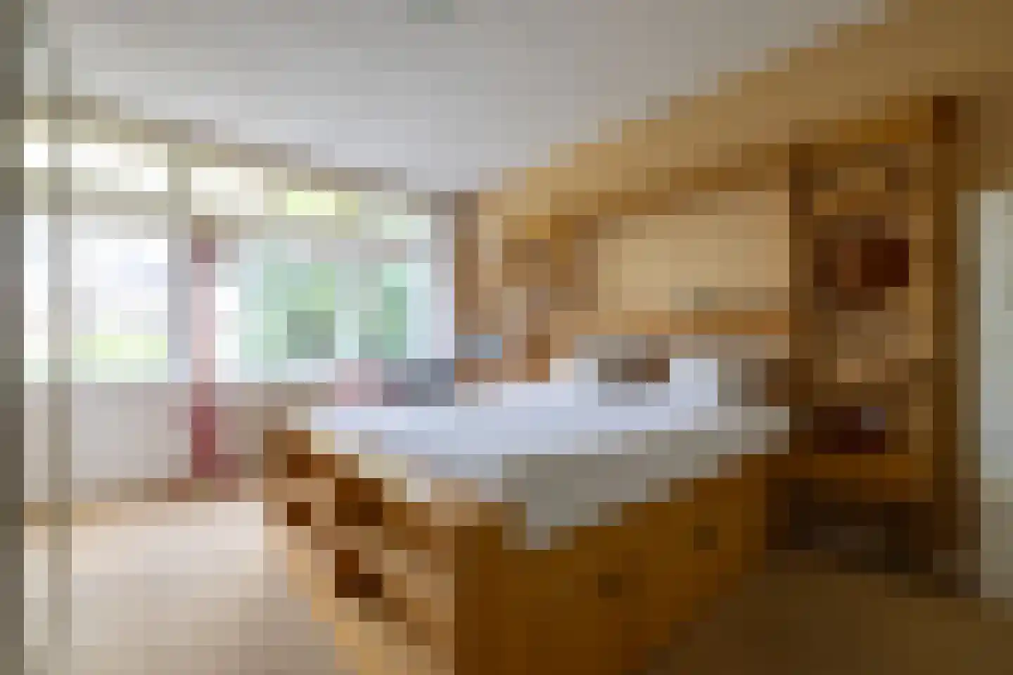 Willem Nagellaan 12 Rotterdam thumbnail 23