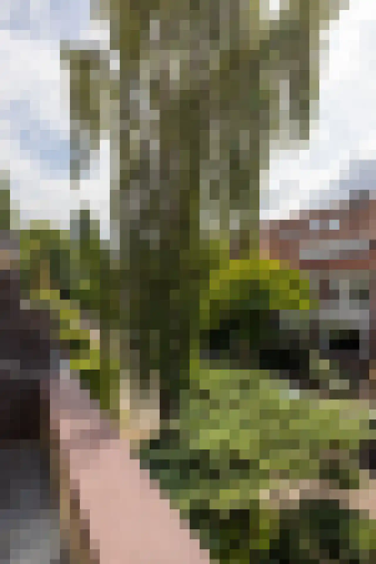 Willem Nagellaan 12 Rotterdam thumbnail 28