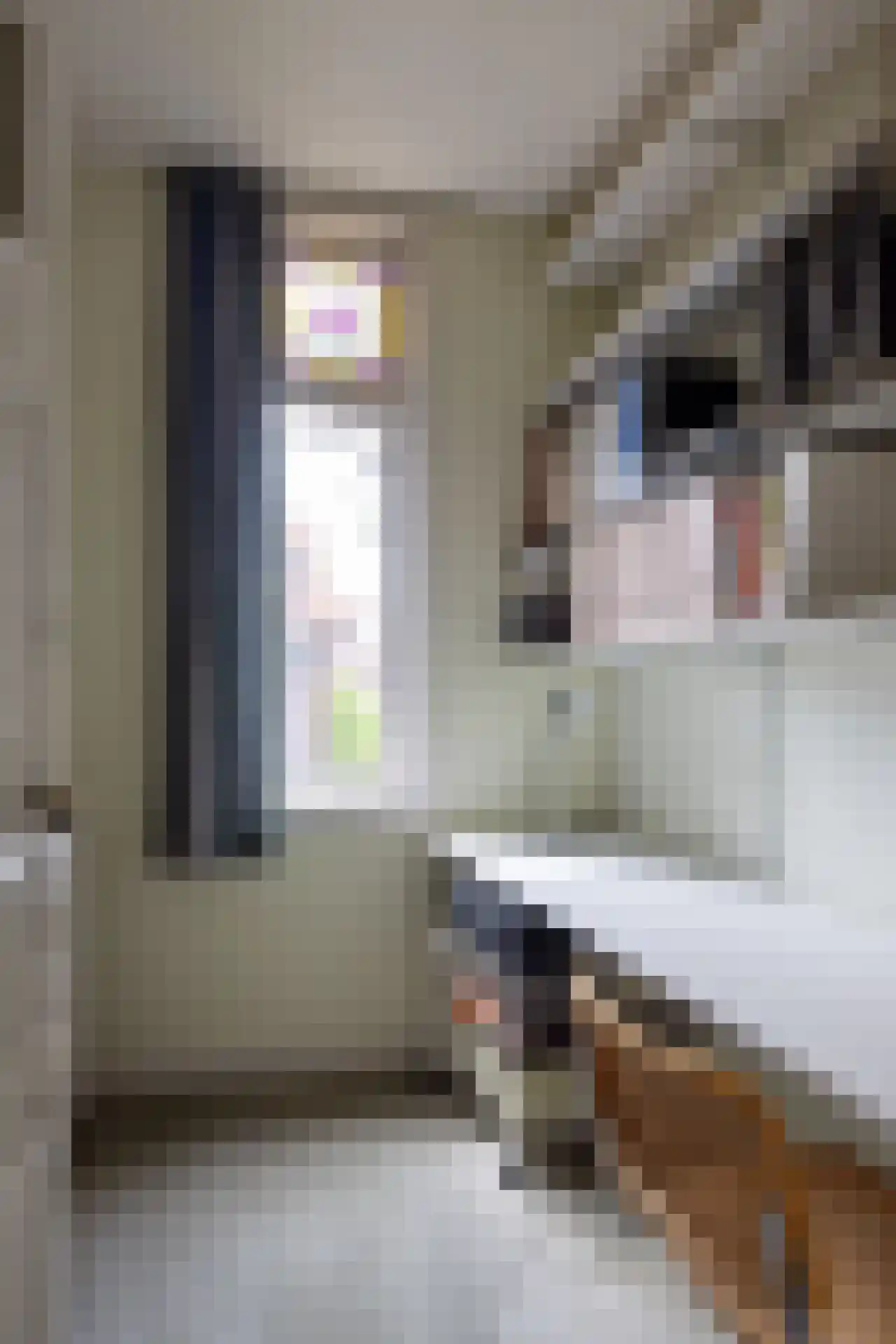 Willem Nagellaan 12 Rotterdam thumbnail 35