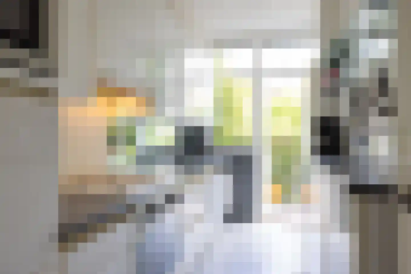 Willem Nagellaan 12 Rotterdam thumbnail 4