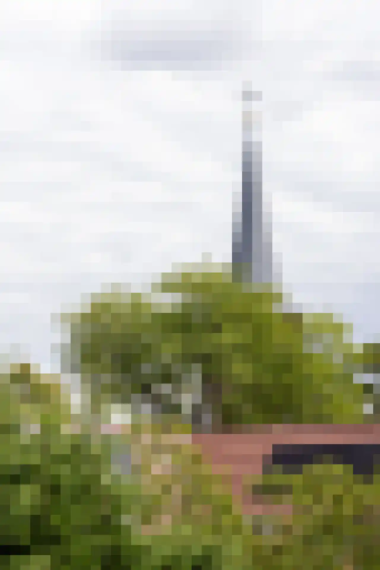 Willem Nagellaan 12 Rotterdam thumbnail 45