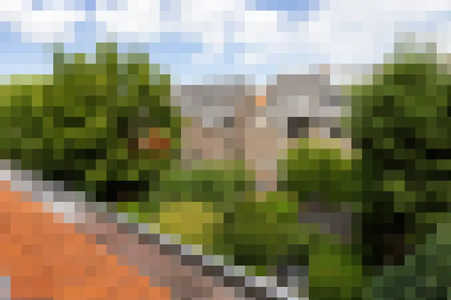 Willem Nagellaan 12 Rotterdam thumbnail 47