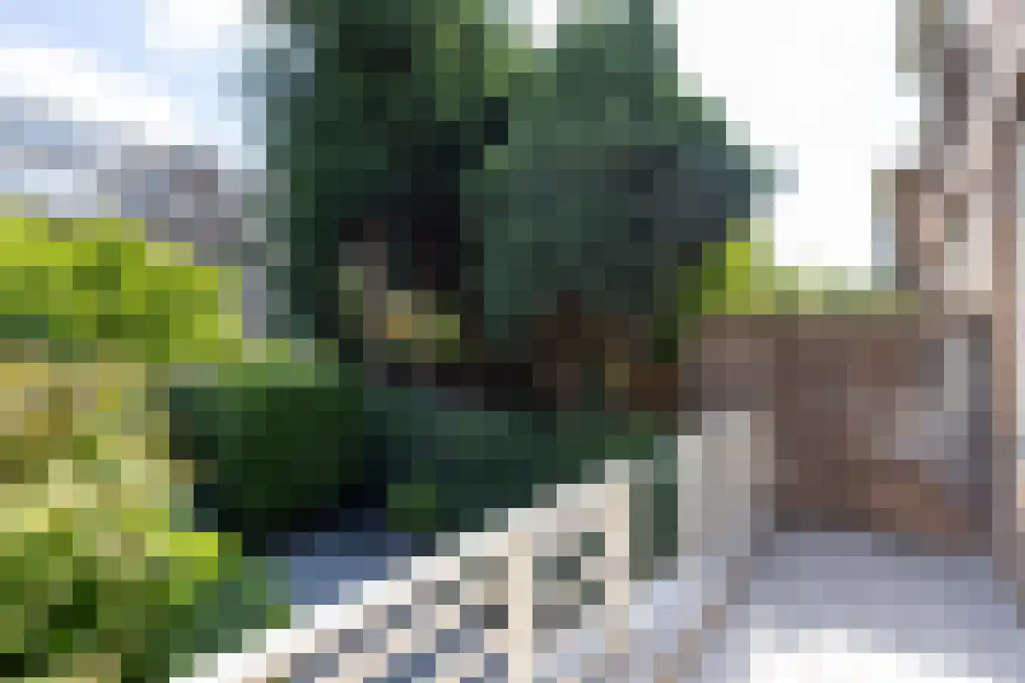 Willem Nagellaan 12 Rotterdam thumbnail 49