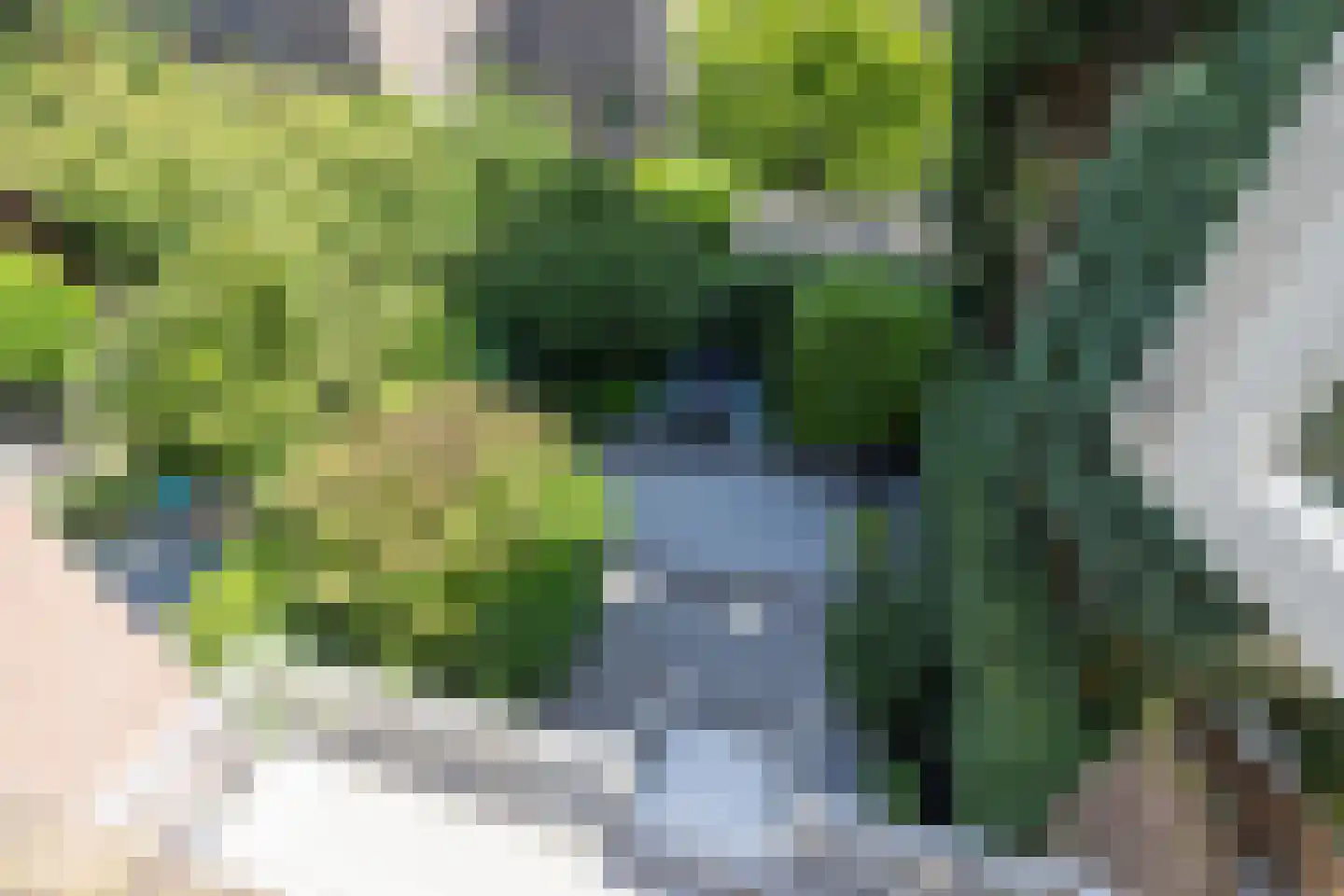 Willem Nagellaan 12 Rotterdam thumbnail 5