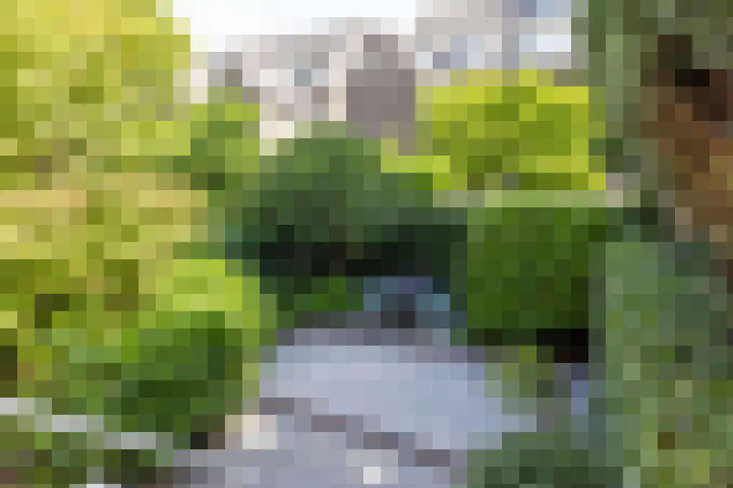 Willem Nagellaan 12 Rotterdam thumbnail 50