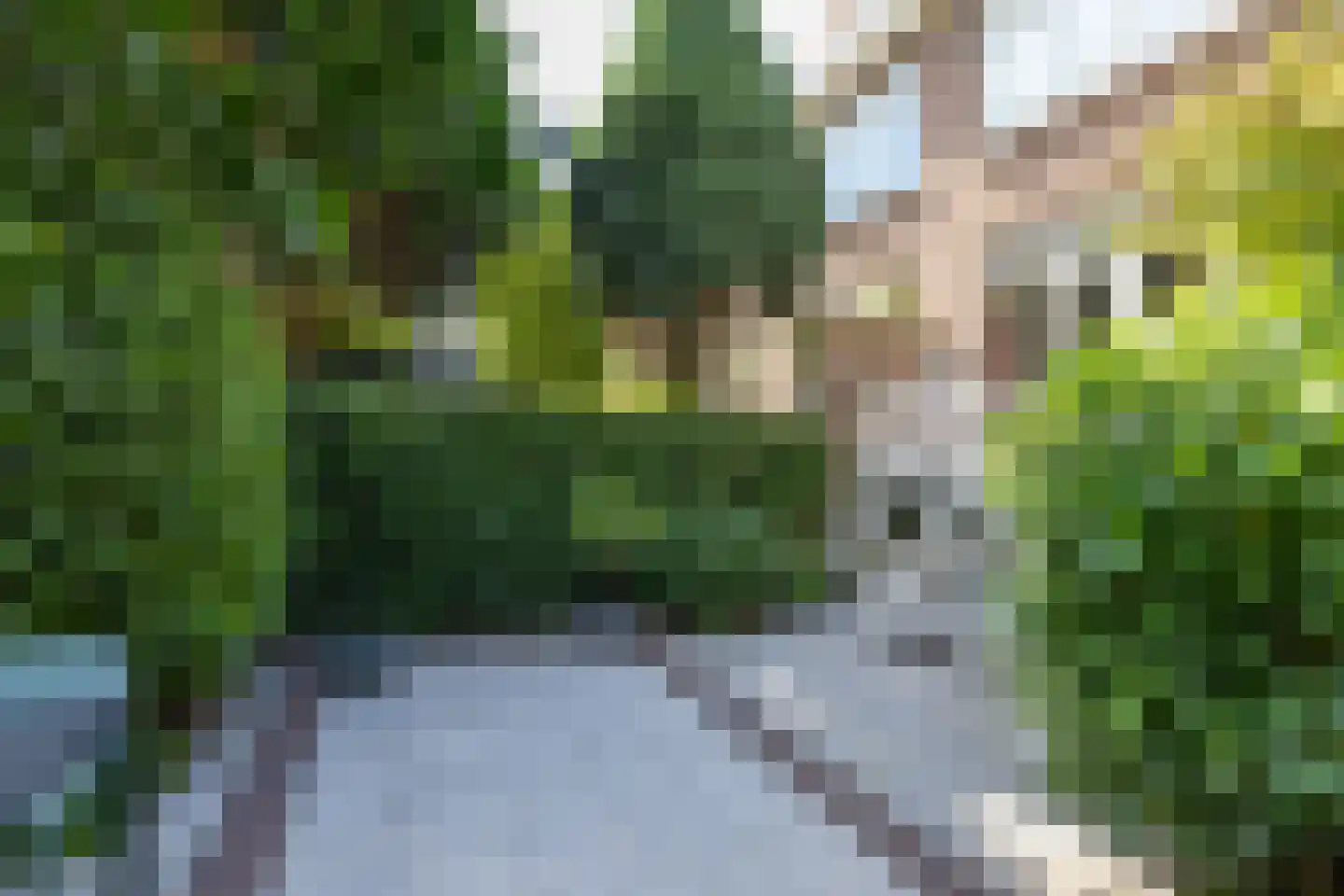 Willem Nagellaan 12 Rotterdam thumbnail 52