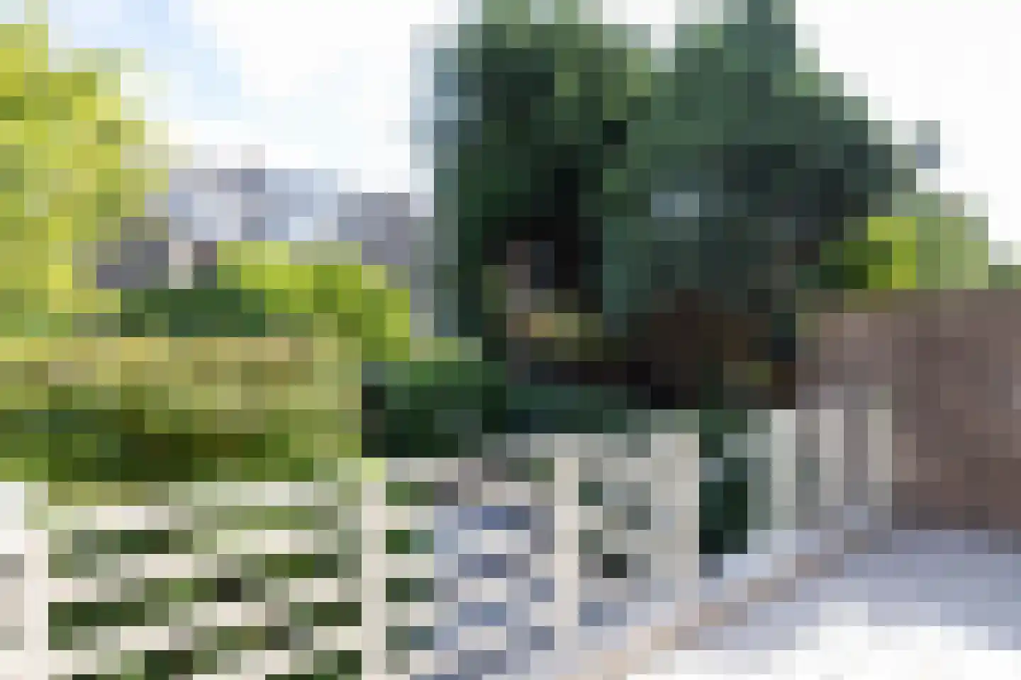 Willem Nagellaan 12 Rotterdam thumbnail 56