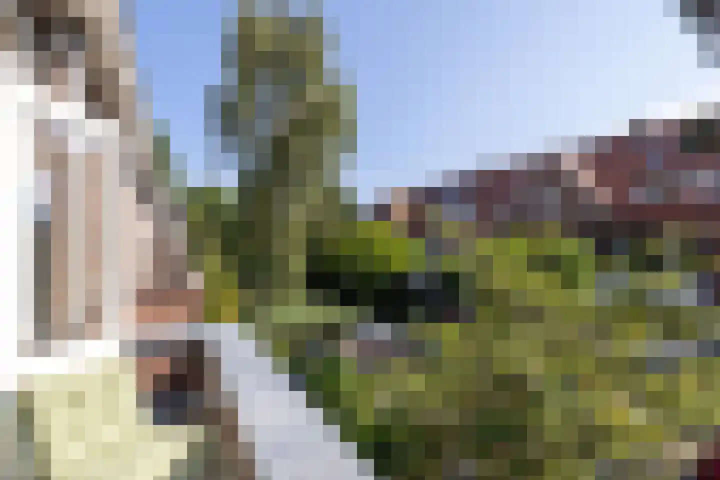 Willem Nagellaan 14 Rotterdam thumbnail 25
