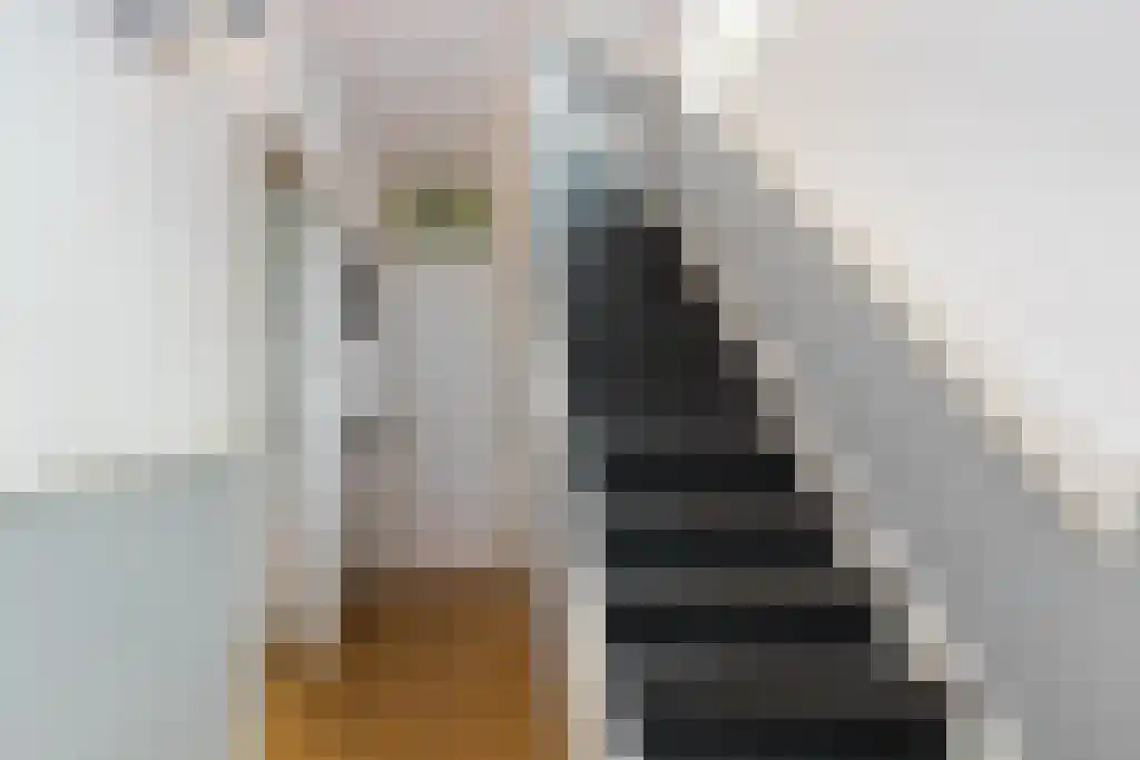 Willem Nagellaan 18 Rotterdam thumbnail 22