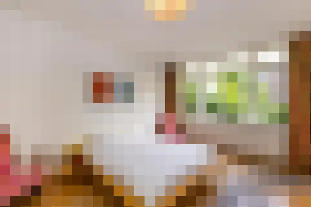 Willem Nagellaan 18 Rotterdam thumbnail 26