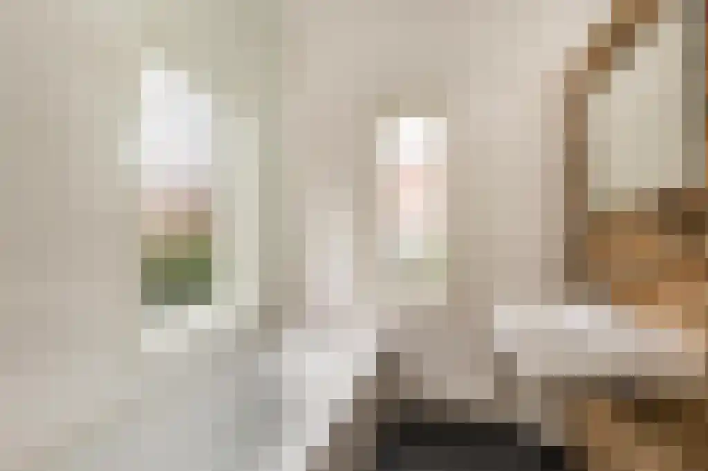 Willem Nagellaan 18 Rotterdam thumbnail 31