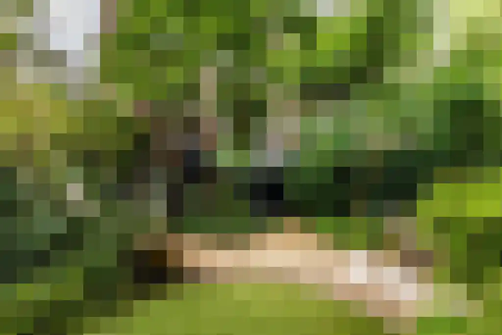 Willem Nagellaan 18 Rotterdam thumbnail 8
