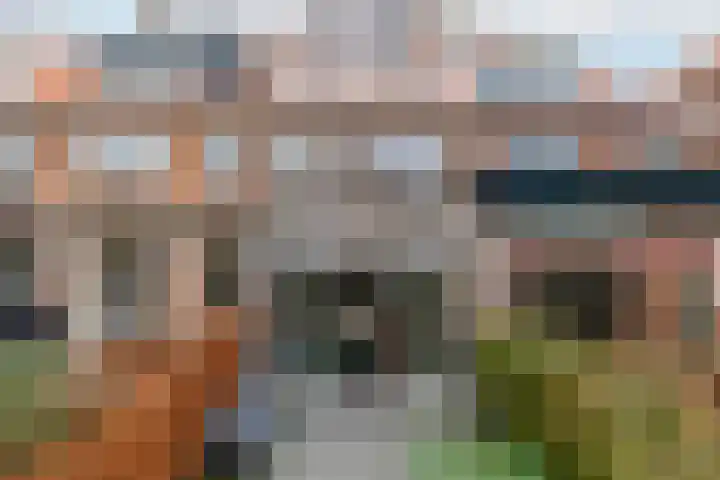 Willem Nagellaan 29 Rotterdam thumbnail 10