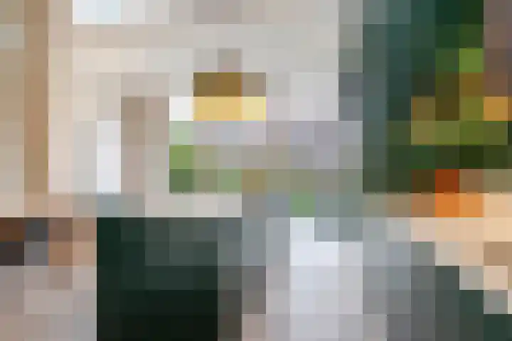 Willem Nagellaan 29 Rotterdam thumbnail 14