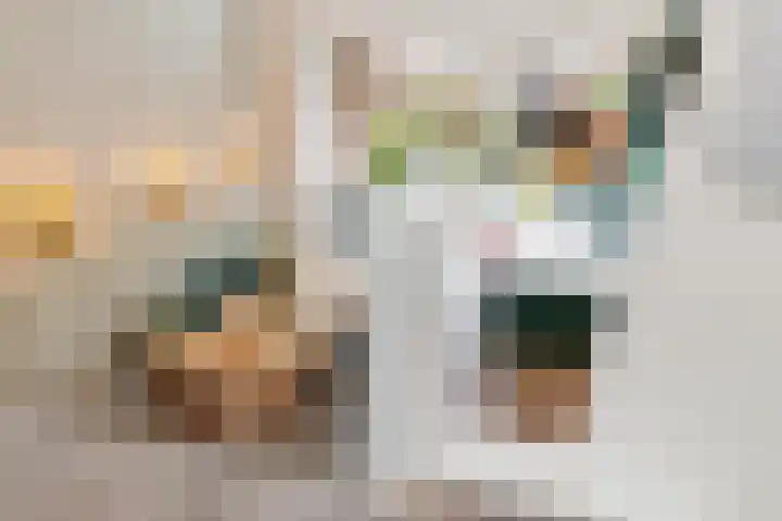 Willem Nagellaan 29 Rotterdam thumbnail 18