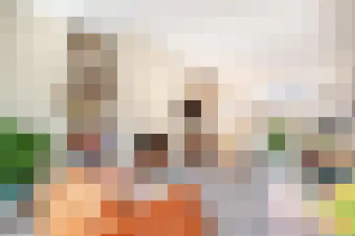 Willem Nagellaan 29 Rotterdam thumbnail 26