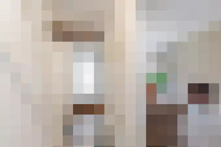 Willem Nagellaan 29 Rotterdam thumbnail 28