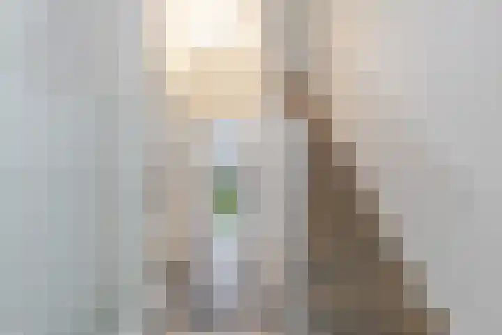 Willem Nagellaan 29 Rotterdam thumbnail 30