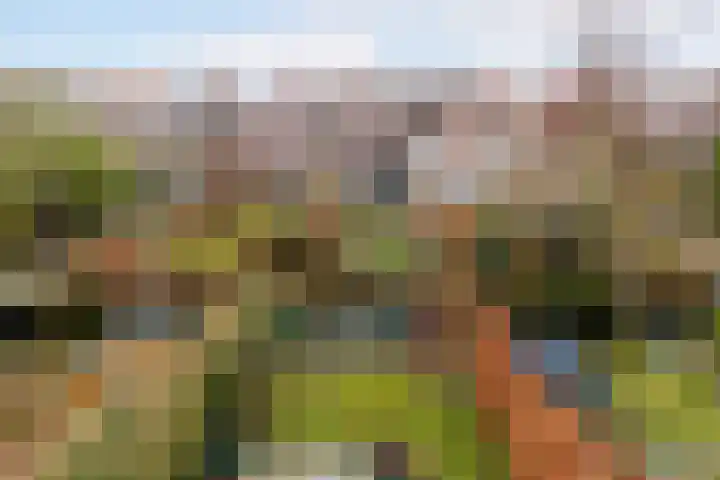 Willem Nagellaan 29 Rotterdam thumbnail 32