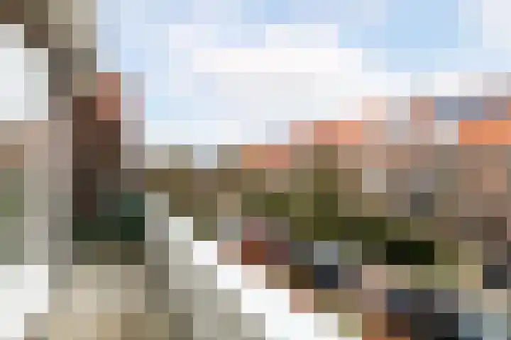 Willem Nagellaan 29 Rotterdam thumbnail 36
