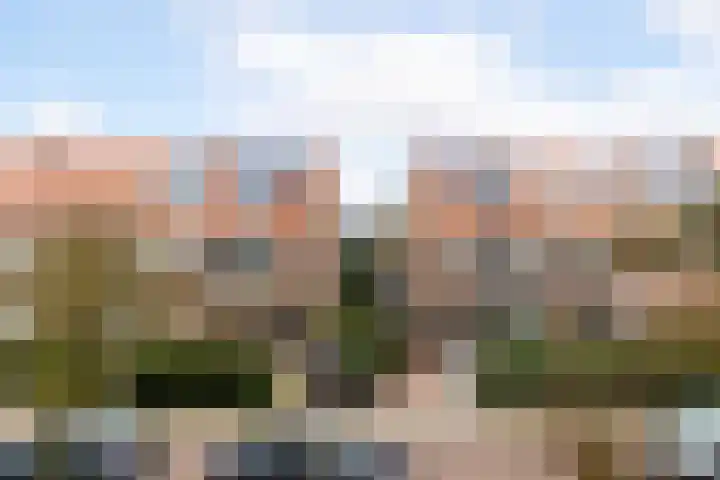 Willem Nagellaan 29 Rotterdam thumbnail 37
