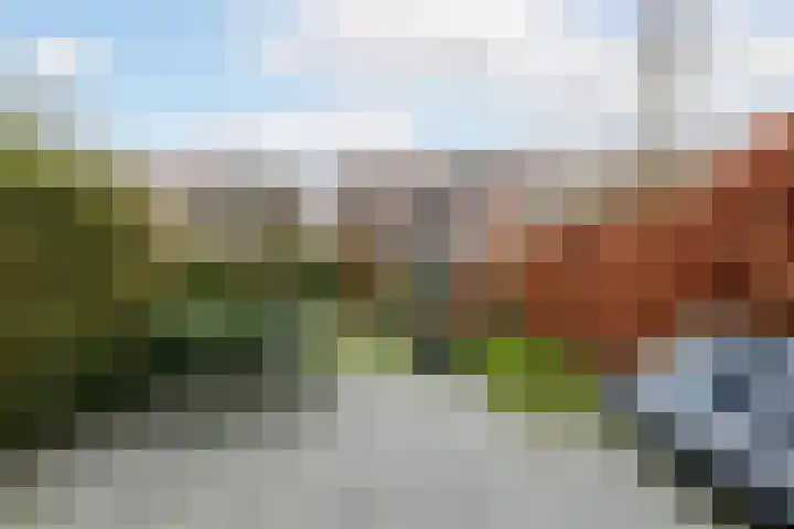 Willem Nagellaan 29 Rotterdam thumbnail 4