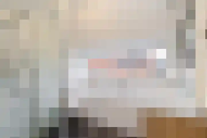 Willem Nagellaan 29 Rotterdam thumbnail 47