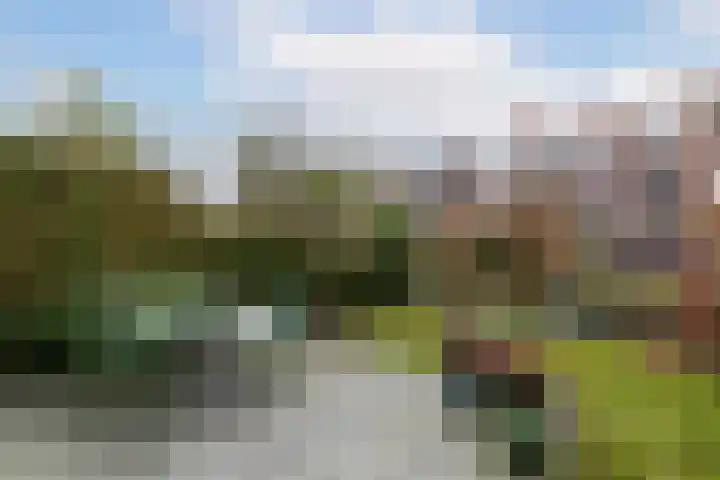Willem Nagellaan 29 Rotterdam thumbnail 5