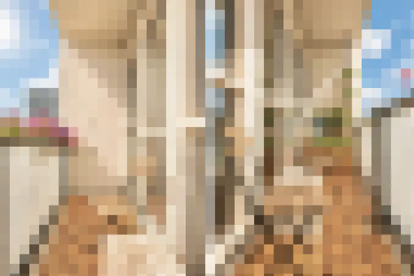 Willem Nakkenstraat 44 3 Amsterdam thumbnail 4