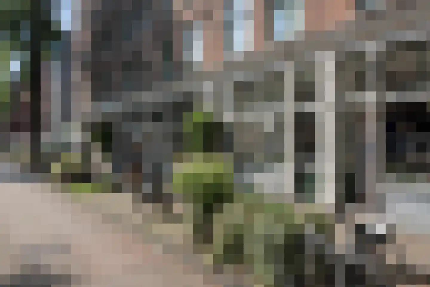 Willem Parelstraat 272 Amsterdam thumbnail 31