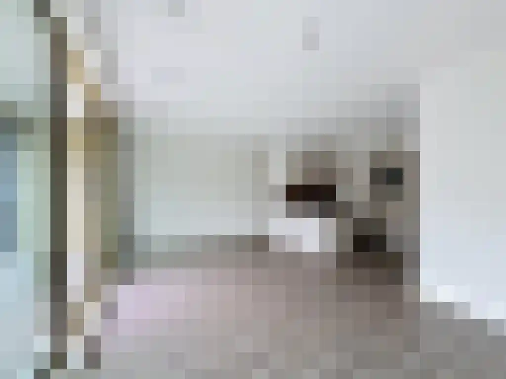 Willem Parelstraat 398 Amsterdam thumbnail 6