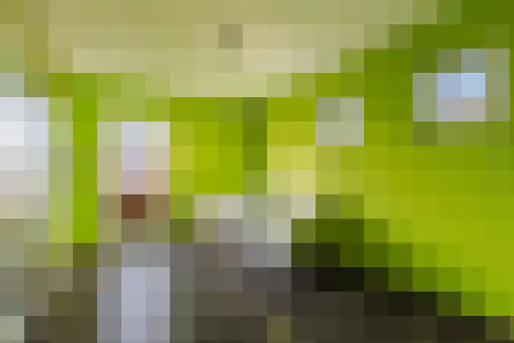 Willem Passtoorsstraat 24 Zundert thumbnail 33