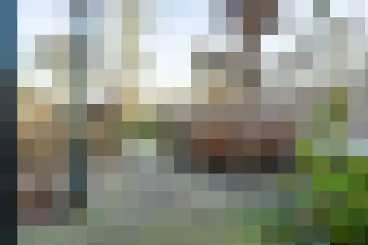 Willem Passtoorsstraat 24 Zundert thumbnail 6