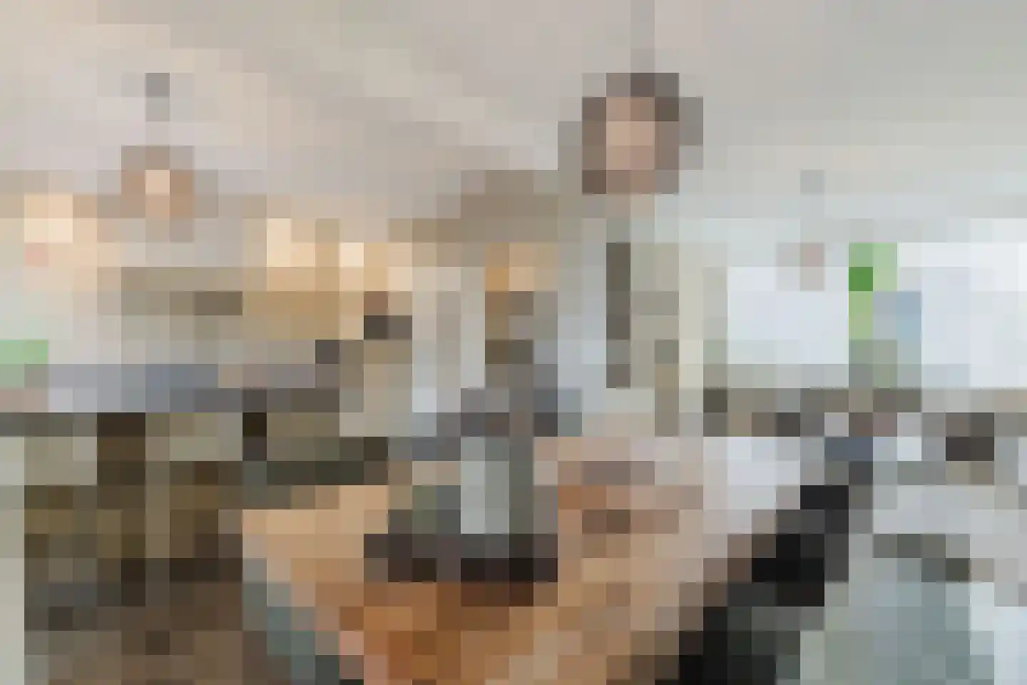 Willem Passtoorsstraat 3 Zundert thumbnail 19