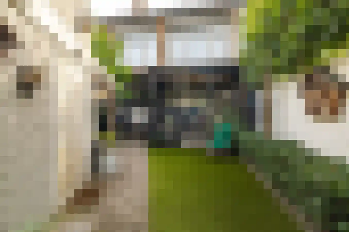 Willem Passtoorsstraat 3 Zundert thumbnail 45