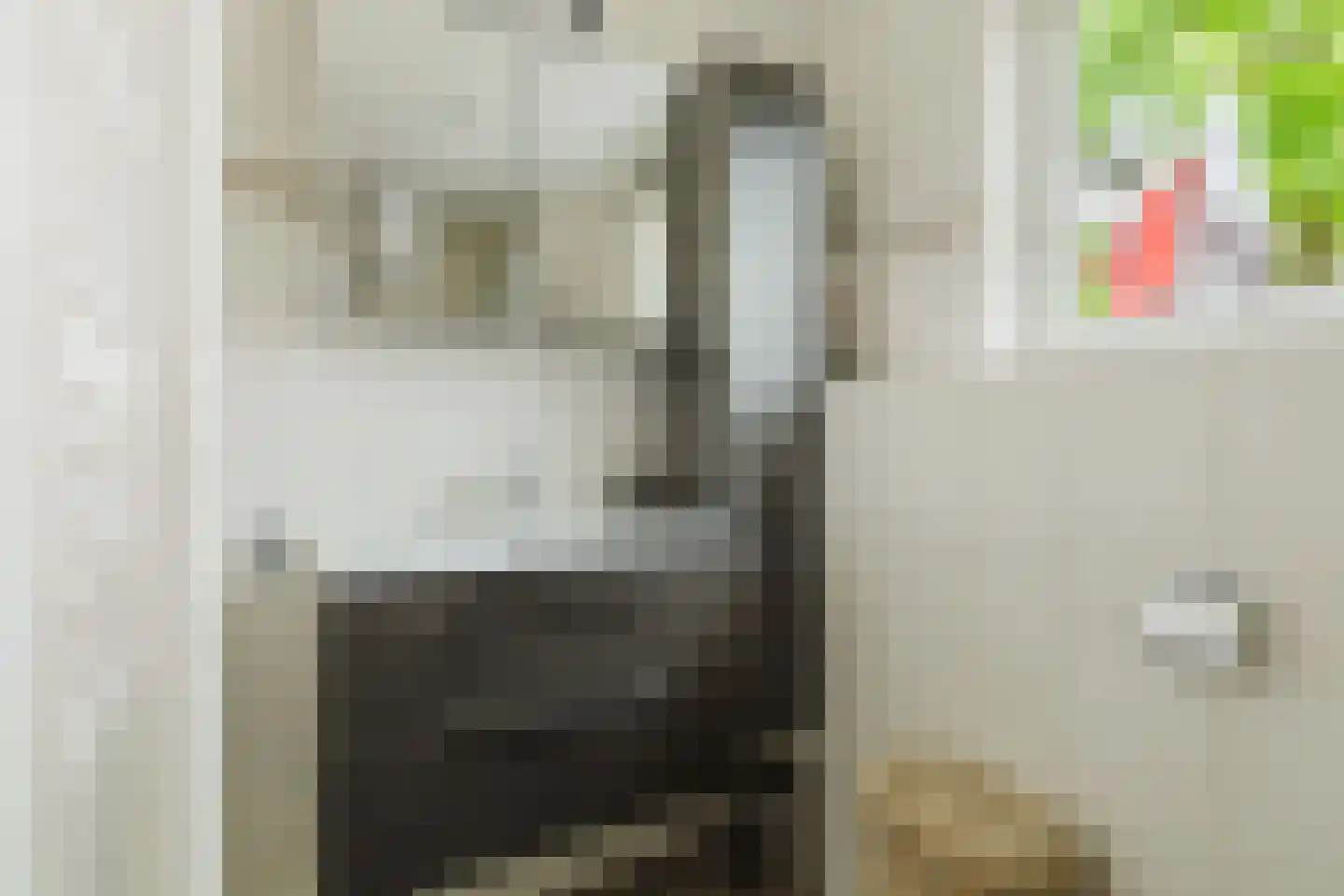 Willem Passtoorsstraat 3 Zundert thumbnail 5