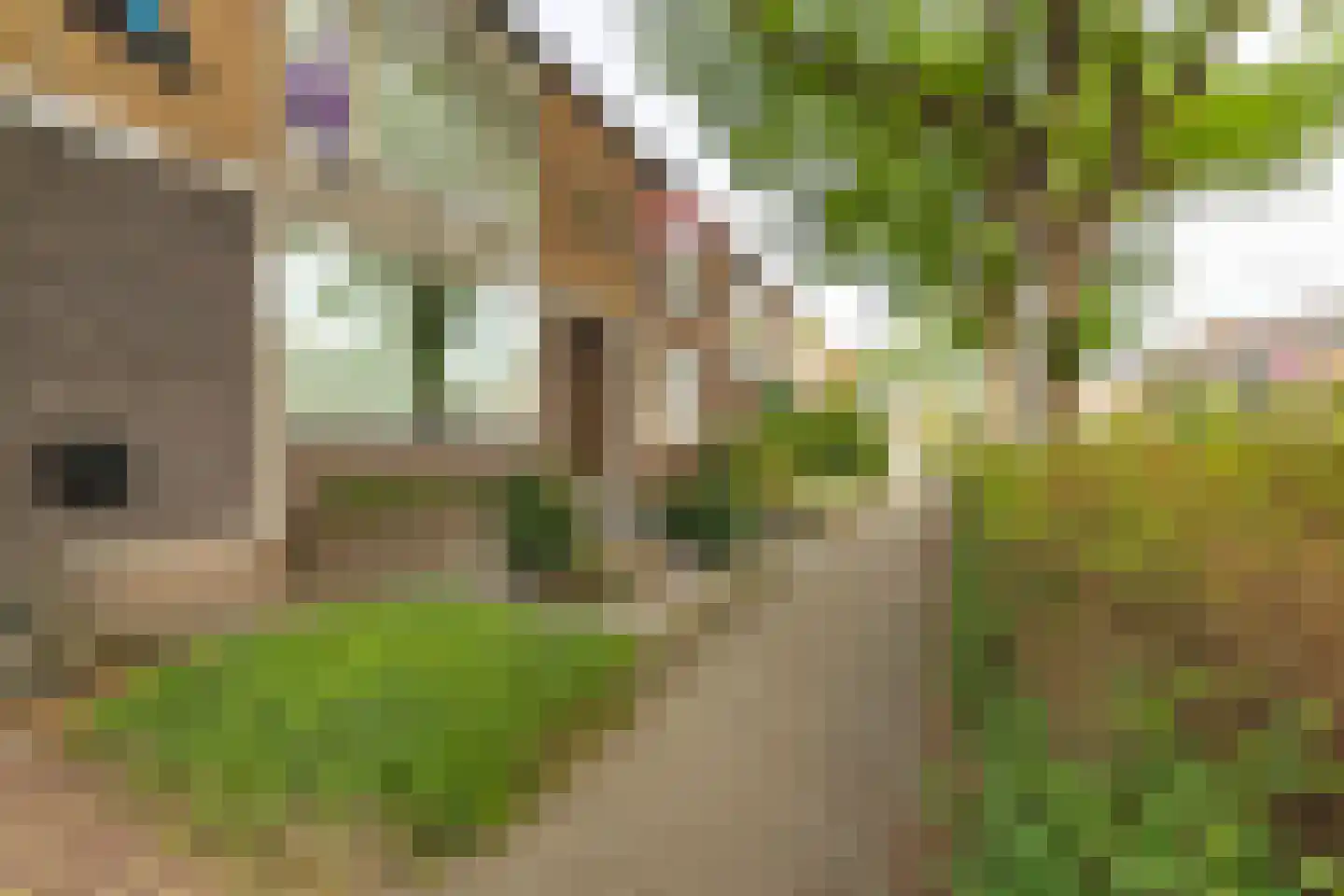 Willem Passtoorsstraat 3 Zundert thumbnail 53