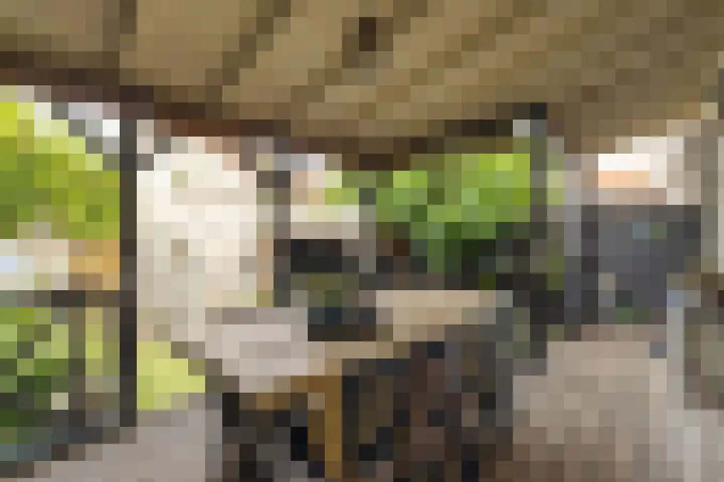 Willem Passtoorsstraat 3 Zundert thumbnail 6