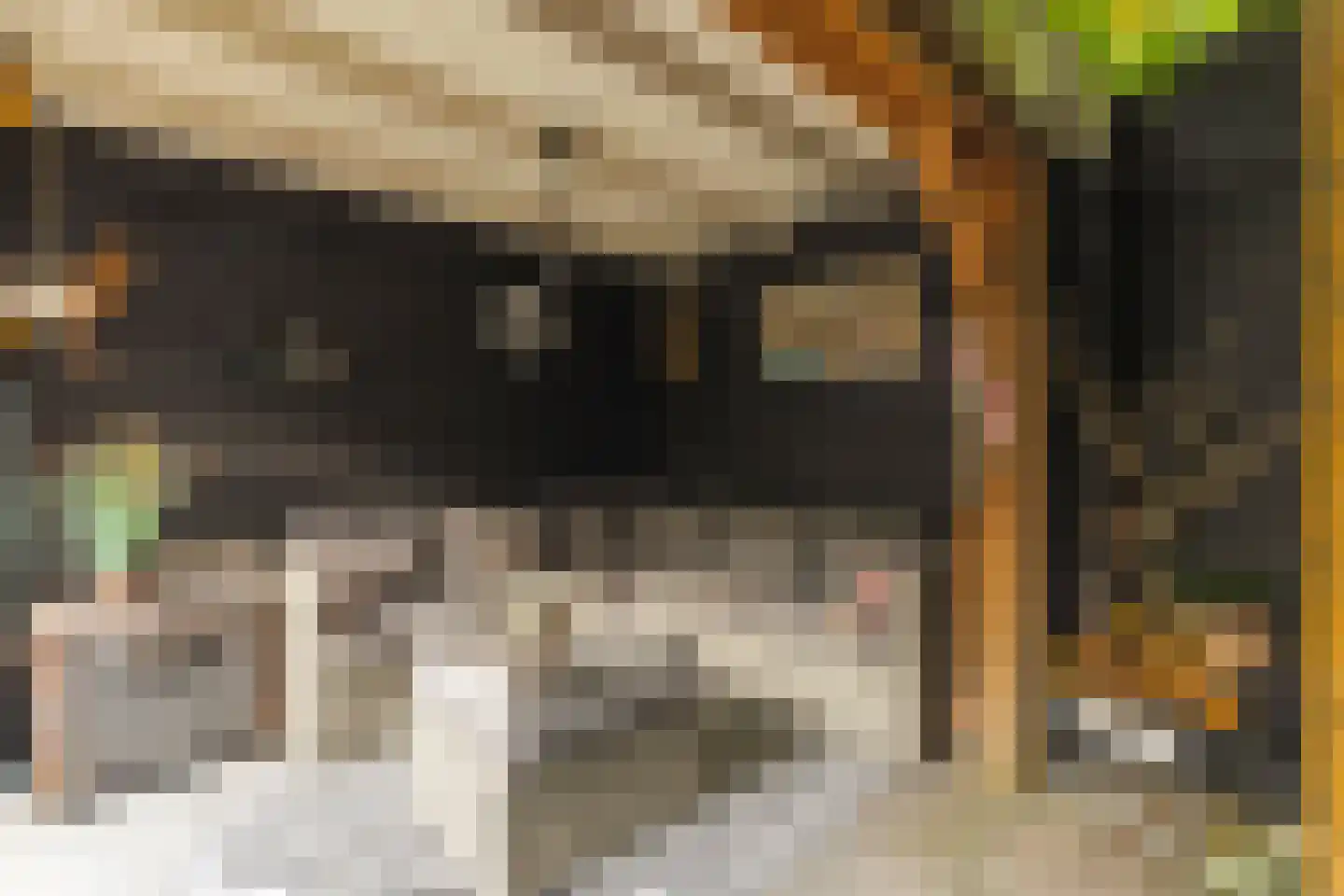 Willem Passtoorsstraat 3 Zundert thumbnail 7